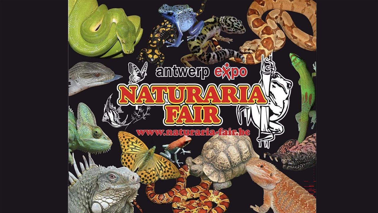 Poster: Naturaria fair Antwerp, Antwerp