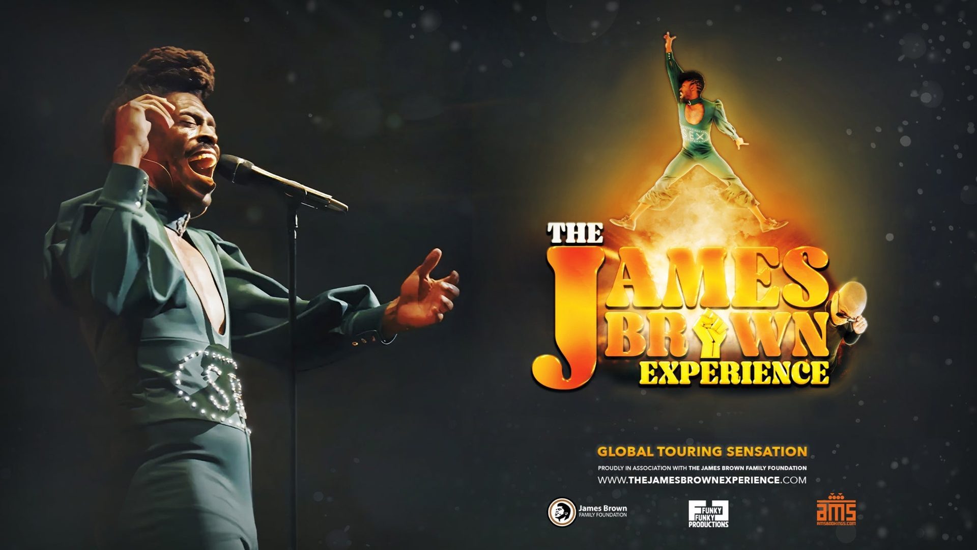 Poster: The James Brown Experience, Arnhem