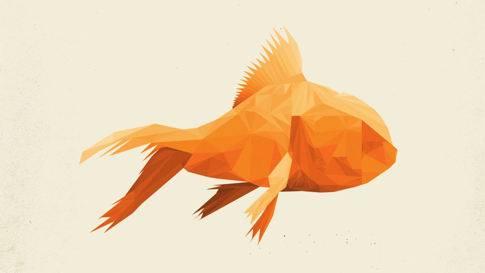 Poster: GoldFish, Amsterdam