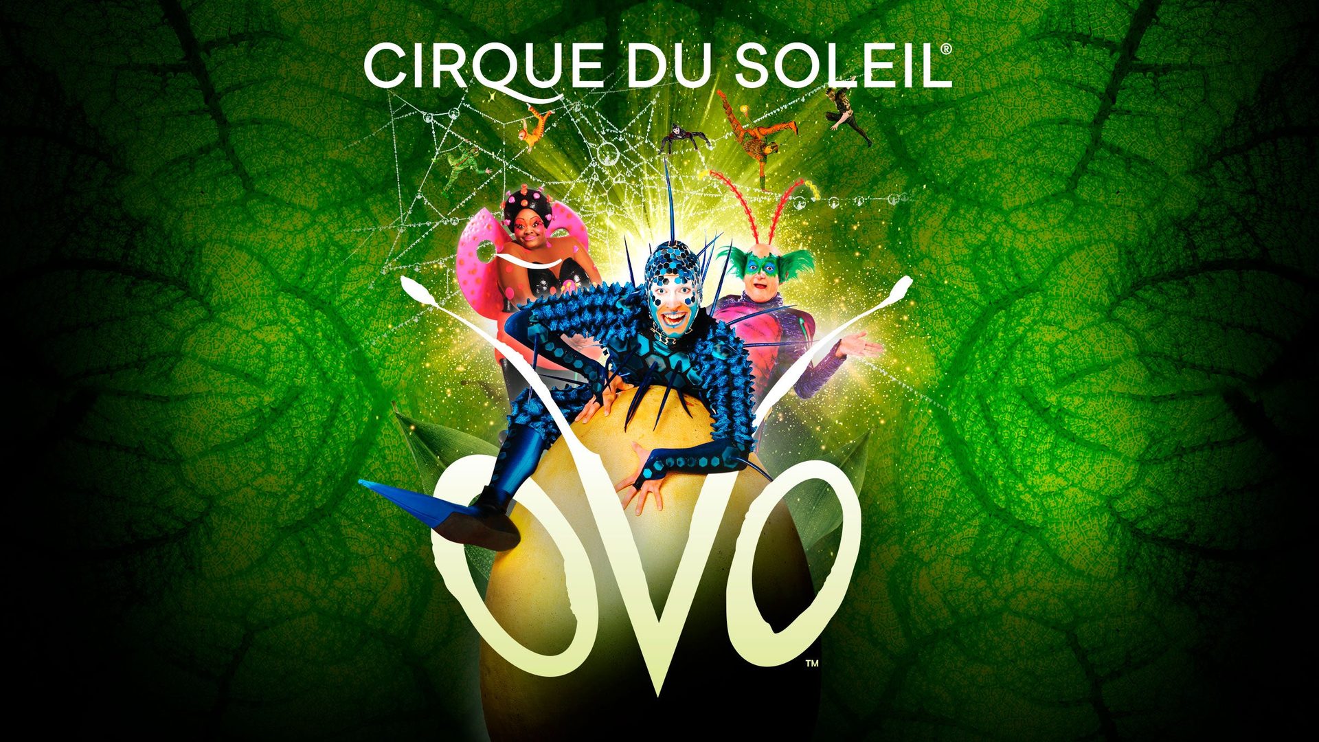 Poster: Cirque du Soleil - OVO with OVO Cirque du Soleil, Munich