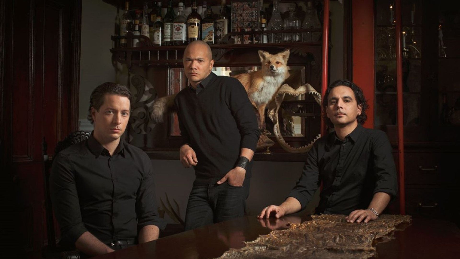 Poster: DANKO JONES, Saarbrücken