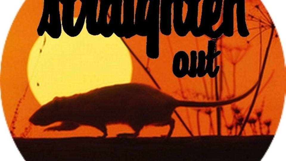 Poster: Straighten Out - The Stranglers Tribute, Nuneaton