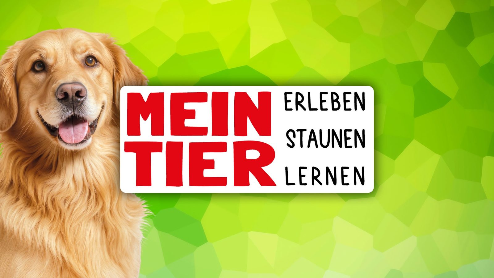 Poster: Mein Tier with Messe Oldenburg, Oldenburg