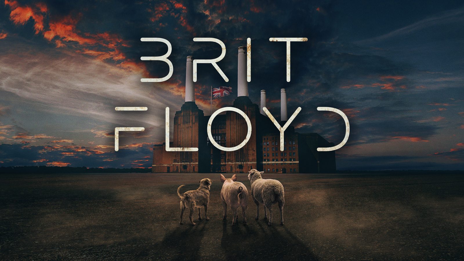 Poster: BRIT FLOYD - ANIMALS 50 World Tour 2027, Amsterdam