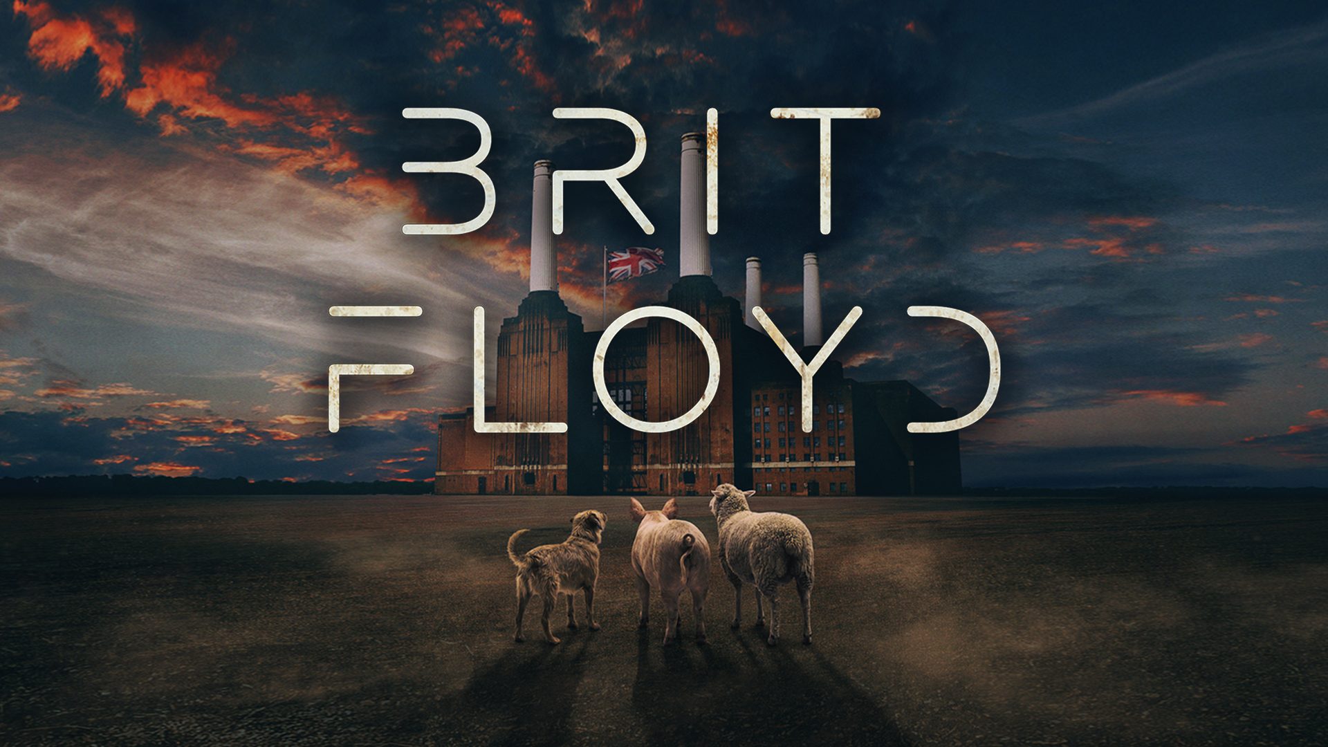 Poster: Brit Floyd: ANIMALS 50, Bremen