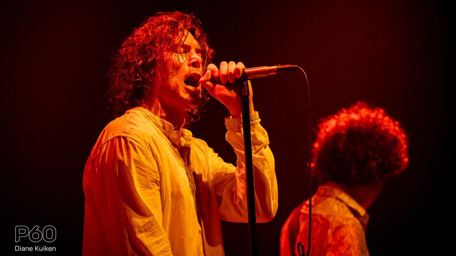 Poster: The Doors In Concert, Amsterdam