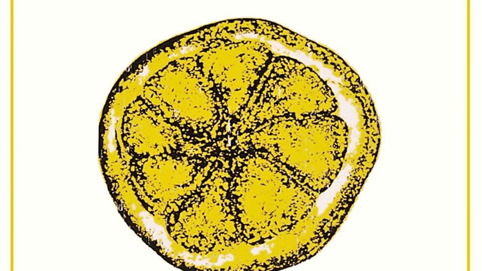 Poster: The Complete Stone Roses, Portlaoise