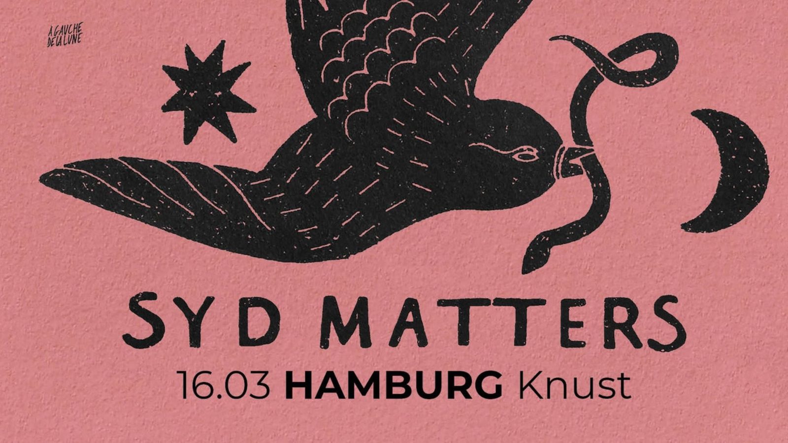 Poster: SYD MATTERS, Hamburg