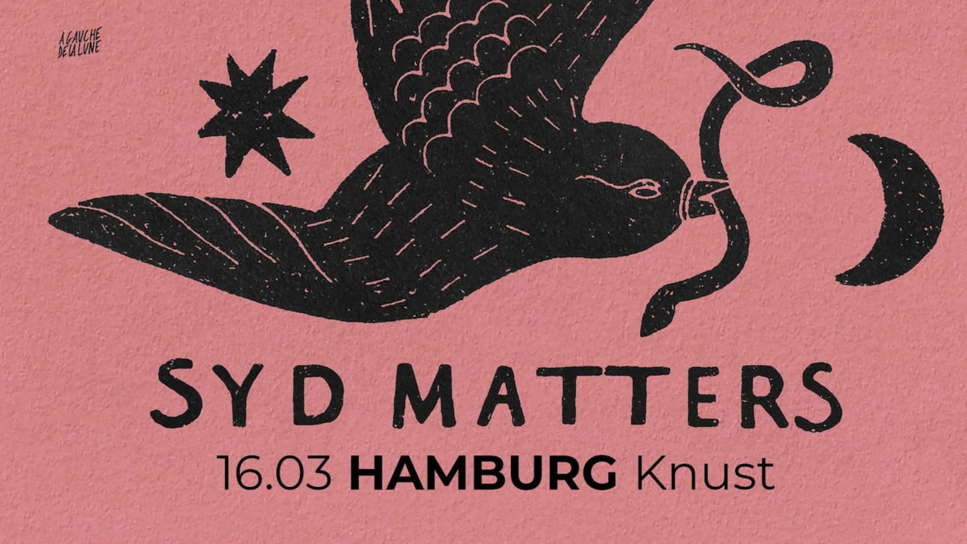 Poster: SYD MATTERS, Hamburg