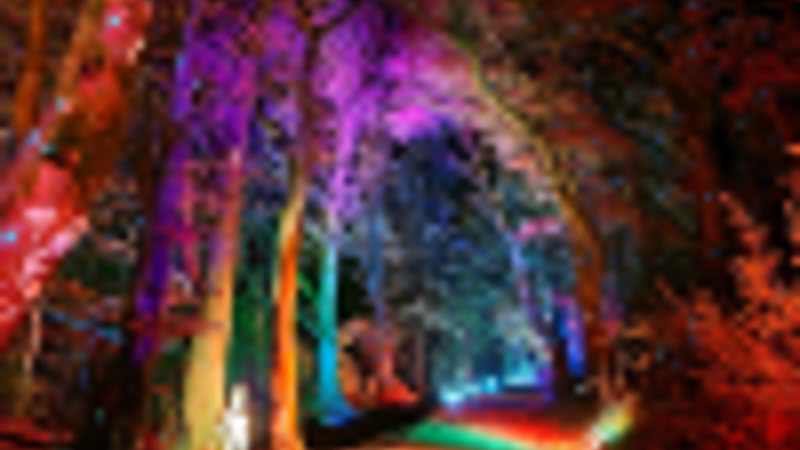 Poster: Land of Light 2026 - Sensory Evening, Droichead Nua