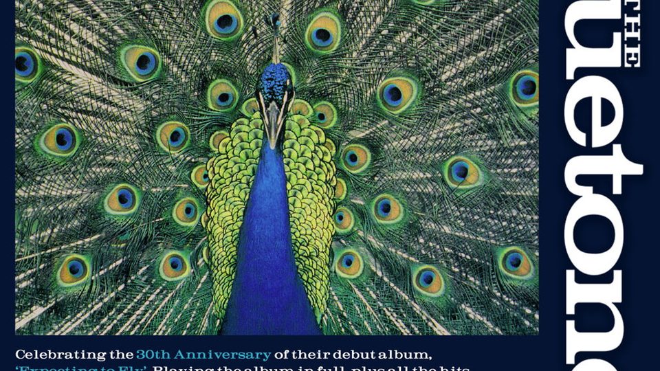 Poster: The Bluetones, Leeds