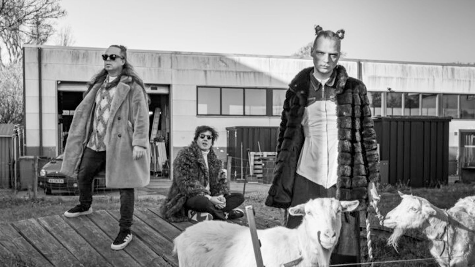 Poster: Prins S. en de Geit, Groningen